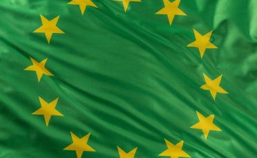 Drapeau Union européenne sur fond vert